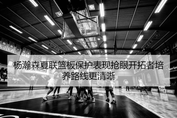 杨瀚森夏联篮板保护表现抢眼开拓者培养路线更清晰