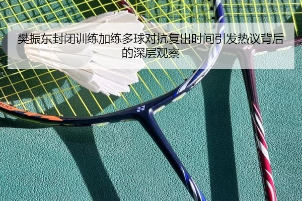 樊振东封闭训练加练多球对抗复出时间引发热议背后的深层观察
